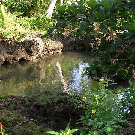 Piscina Natural On The Sea Cahuita Luaran gambar