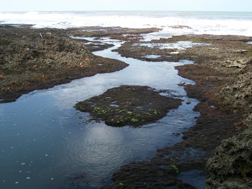 Piscina Natural On The Sea Cahuita Luaran gambar