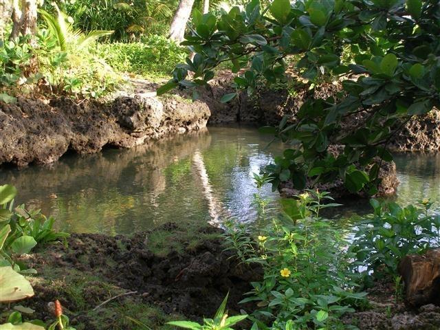 Piscina Natural On The Sea Cahuita Luaran gambar