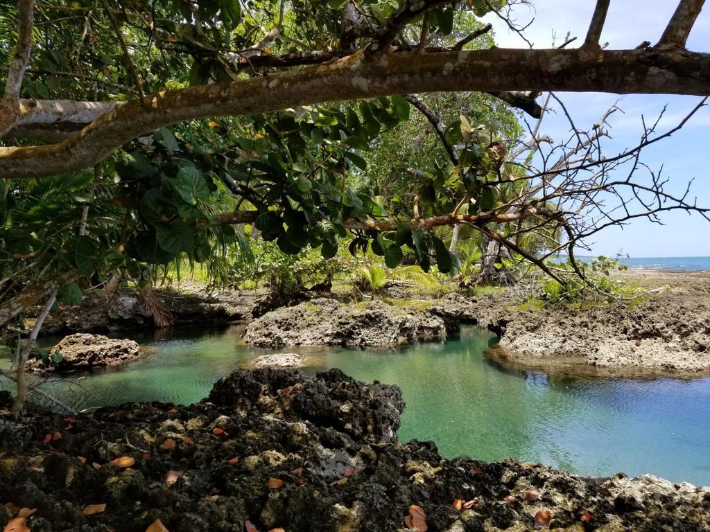 Piscina Natural On The Sea Cahuita Luaran gambar