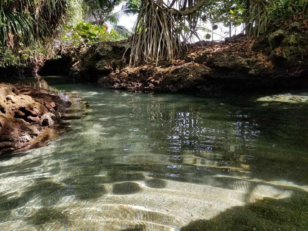 Piscina Natural On The Sea Cahuita Luaran gambar